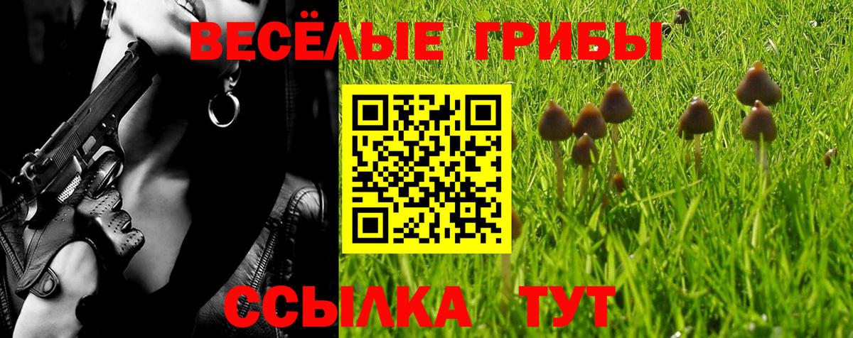 Псилоцибиновые грибы Psilocybe Кострома
