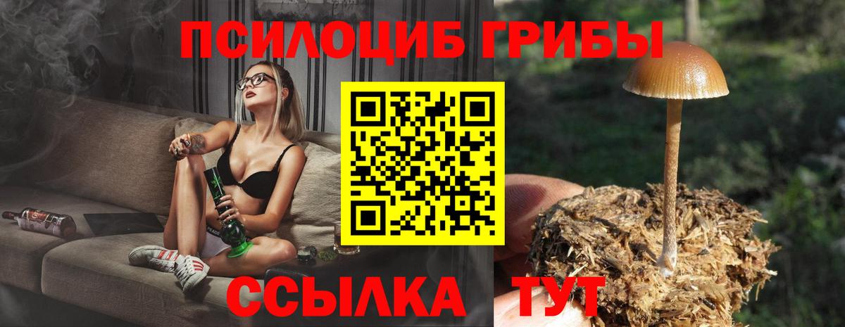 Кострома  Псилоцибиновые грибы прущие грибы  Вход с VPN  Галлюциногенные грибы Cubensis 